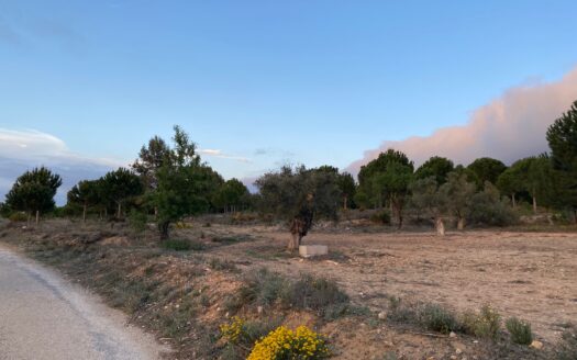 T 267 Terreno en venta en Els Cabesols (Biar)