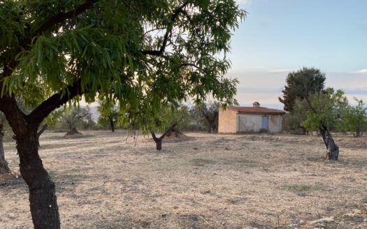 T 267 Terreno en venta en Els Cabesols (Biar)