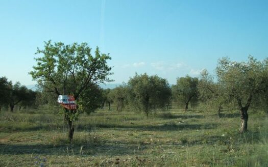 T026 Terreno en venta en la farola, Biar