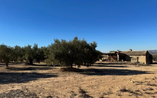 CT 311 Finca rústica en venta en Carretera Biar, Campo de Mirra, Biar (Alicante)