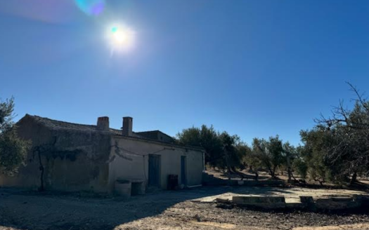 CT 311 Finca rústica en venta en Carretera Biar, Campo de Mirra, Biar (Alicante)