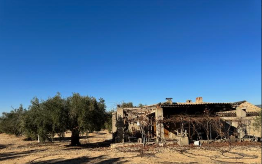 CT 311 Finca rústica en venta en Carretera Biar, Campo de Mirra, Biar (Alicante)
