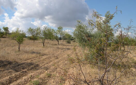 Terreno en venta en Ctra.Biar-bañeres km. 5,5 s/n, Banyeres de Mariola
