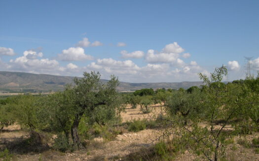 Terreno en venta en Ctra.Biar-bañeres km. 5,5 s/n, Banyeres de Mariola