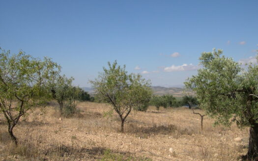 Terreno en venta en Ctra.Biar-bañeres km. 5,5 s/n, Banyeres de Mariola