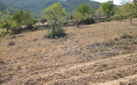 Terreno en venta en Ctra.Biar-bañeres km. 5,5 s/n, Banyeres de Mariola