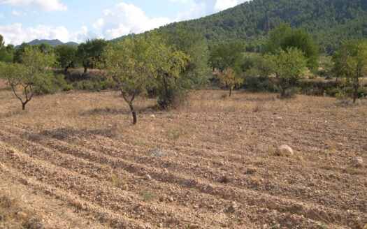 Terreno en venta en Ctra.Biar-bañeres km. 5,5 s/n, Banyeres de Mariola