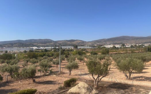 Chalet 229 en Ibi (Alicante)