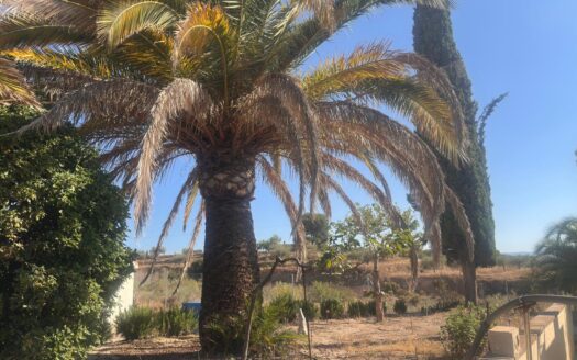 Chalet 229 en Ibi (Alicante)