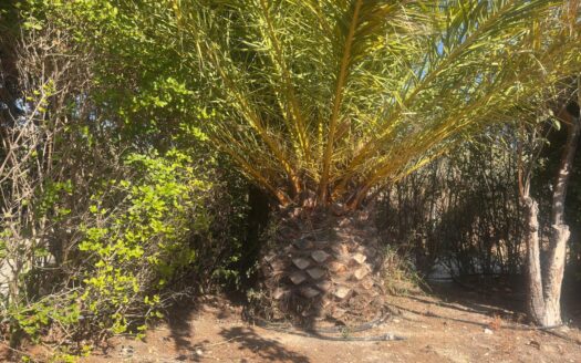 Chalet 229 en Ibi (Alicante)