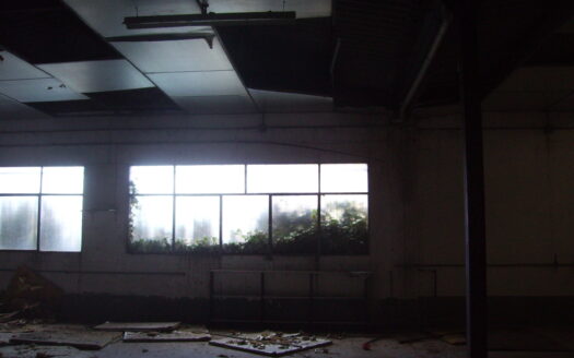 Local/Nave 029 en Biar (Alicante)