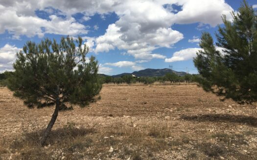 T 245 Terreno en Ctra. de Biar a Villena