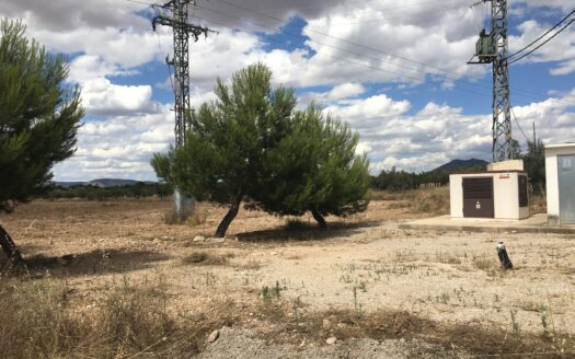 T 245 Terreno en Ctra. de Biar a Villena