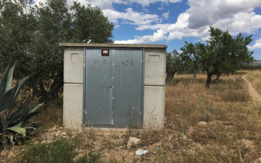 T 245 Terreno en Ctra. de Biar a Villena