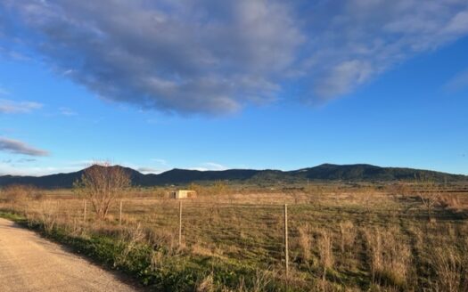N 050  Se vende finca con almacen agricola en Biar