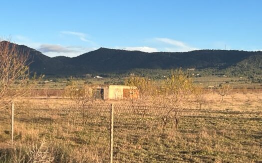 N 050  Se vende finca con almacen agricola en Biar
