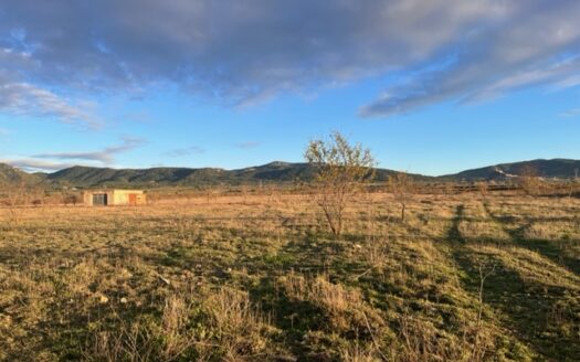 N 050  Se vende finca con almacen agricola en Biar