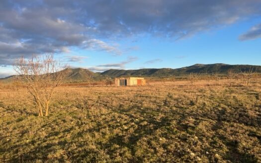 N 050  Se vende finca con almacen agricola en Biar