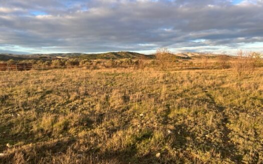 N 050  Se vende finca con almacen agricola en Biar