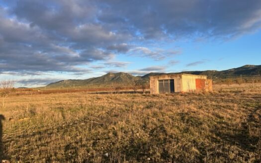 N 050  Se vende finca con almacen agricola en Biar
