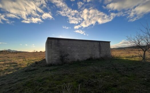 N 050  Se vende finca con almacen agricola en Biar