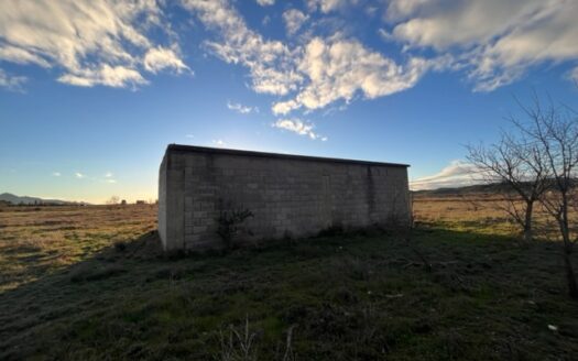 N 050  Se vende finca con almacen agricola en Biar