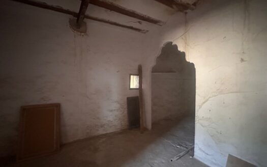 Finca 077 en Campo de Mirra con casa, nave y bodega con varias pinadas….