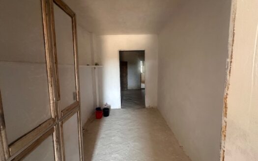 Finca 077 en Campo de Mirra con casa, nave y bodega con varias pinadas….