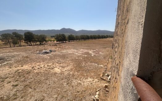 Finca 077 en Campo de Mirra con casa, nave y bodega con varias pinadas….