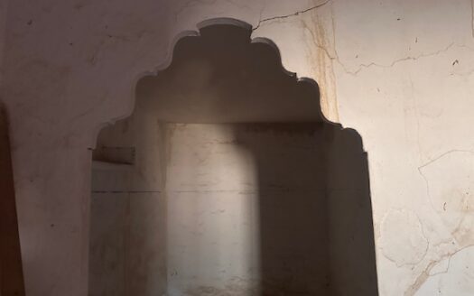 Finca 077 en Campo de Mirra con casa, nave y bodega con varias pinadas….