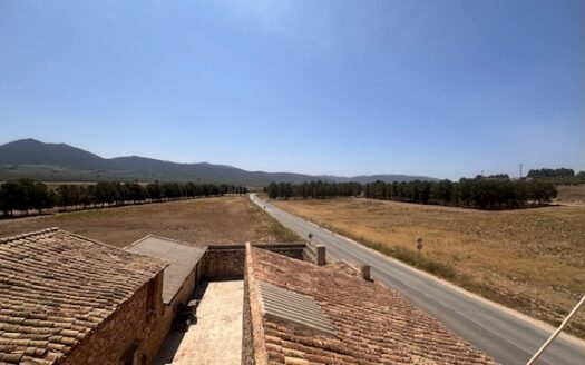 Finca 077 en Campo de Mirra con casa, nave y bodega con varias pinadas….