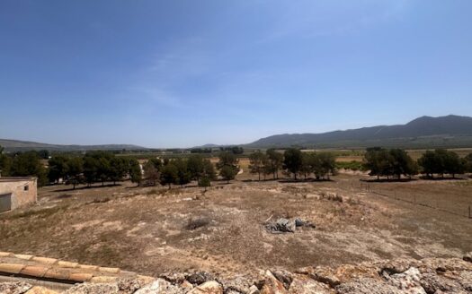 Finca 077 en Campo de Mirra con casa, nave y bodega con varias pinadas….