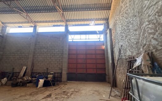 Finca 077 en Campo de Mirra con casa, nave y bodega con varias pinadas….