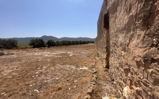 Finca 077 en Campo de Mirra con casa, nave y bodega con varias pinadas….