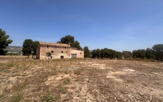Finca 077 en Campo de Mirra con casa, nave y bodega con varias pinadas….