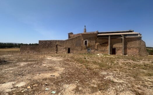 Finca 077 en Campo de Mirra con casa, nave y bodega con varias pinadas….