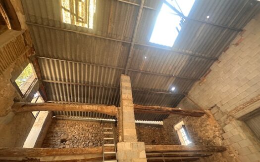 Finca 077 en Campo de Mirra con casa, nave y bodega con varias pinadas….