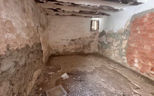 Finca 077 en Campo de Mirra con casa, nave y bodega con varias pinadas….