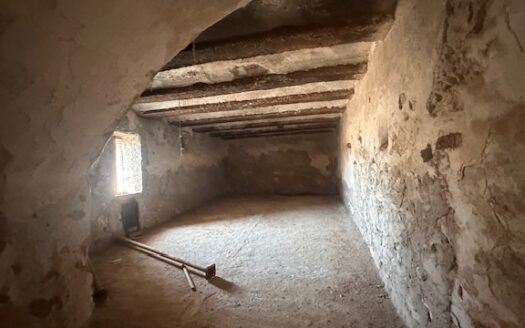 Finca 077 en Campo de Mirra con casa, nave y bodega con varias pinadas….