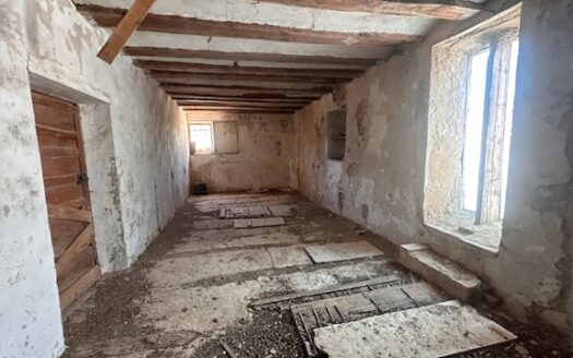 Finca 077 en Campo de Mirra con casa, nave y bodega con varias pinadas….