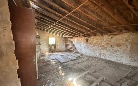 Finca 077 en Campo de Mirra con casa, nave y bodega con varias pinadas….