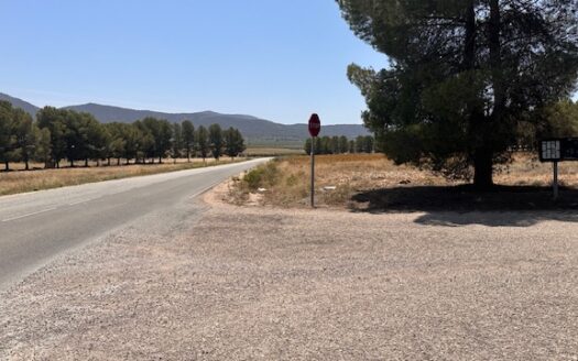 Finca 077 en Campo de Mirra con casa, nave y bodega con varias pinadas….