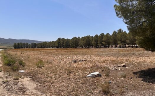 Finca 077 en Campo de Mirra con casa, nave y bodega con varias pinadas….