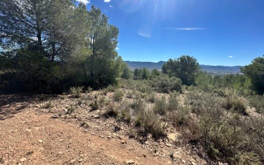 T 433 SA Venta de terreno sin agua en Benejama
