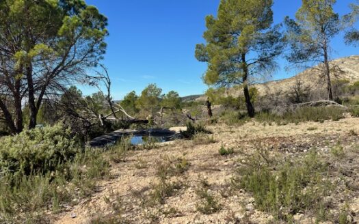 T 433 SA Venta de terreno sin agua en Benejama