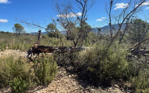 T 433 SA Venta de terreno sin agua en Benejama