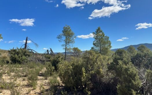 T 433 SA Venta de terreno sin agua en Benejama