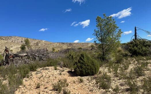 T 433 SA Venta de terreno sin agua en Benejama