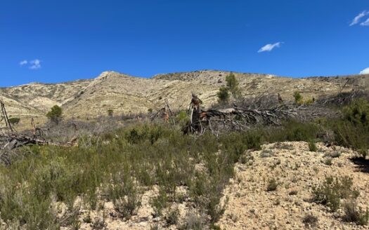 T 433 SA Venta de terreno sin agua en Benejama