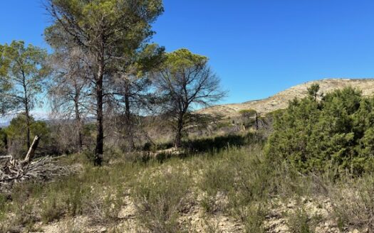 T 433 SA Venta de terreno sin agua en Benejama